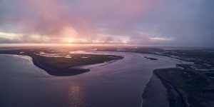 Summer 2025 — Bay Report Highlights